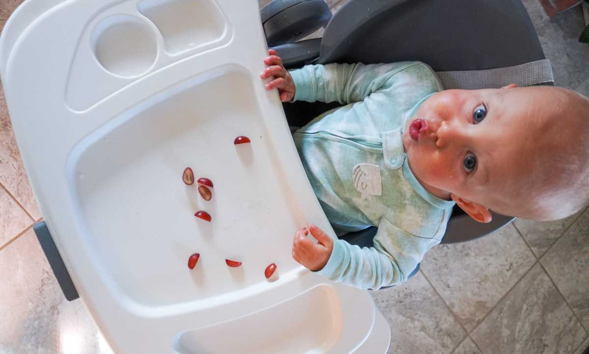 How To Safely Prepare Grapes For BabyLed Weaning (BLW) Planted Home