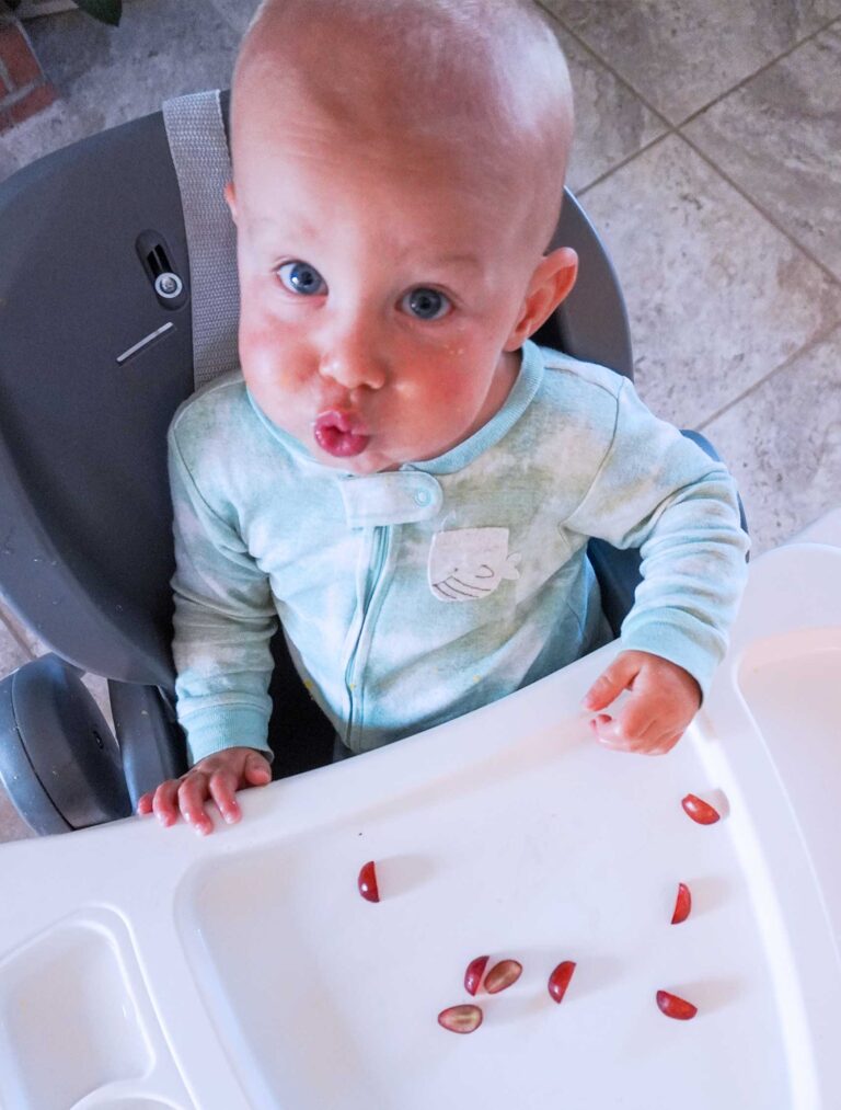 baby sitting in high chair looking up at camera, eating grapes cut into quarters