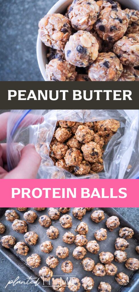 three images of peanut butter protein balls with the text "peanut butter protein balls"