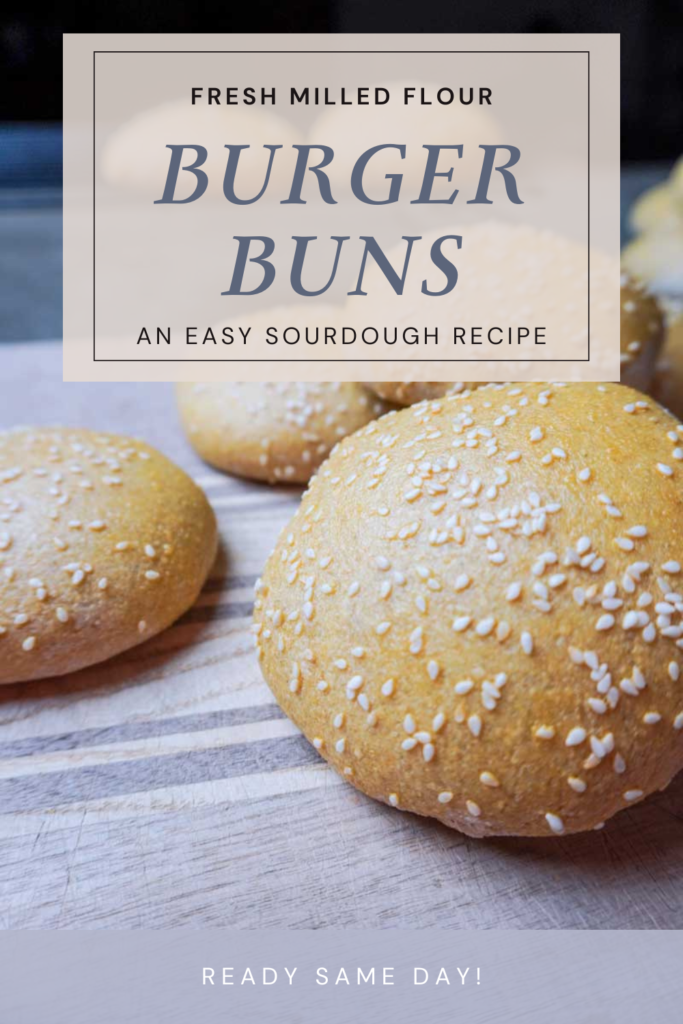 image of fresh made hamburger buns with text "fresh milled flour burger buns"