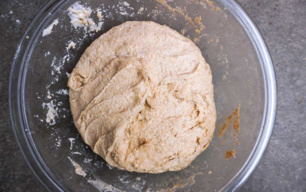 whole wheat hamburger bun dough that has doubled