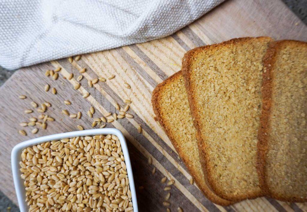 Three slices of fresh milled whole wheat bread and a bowl of wheat berries