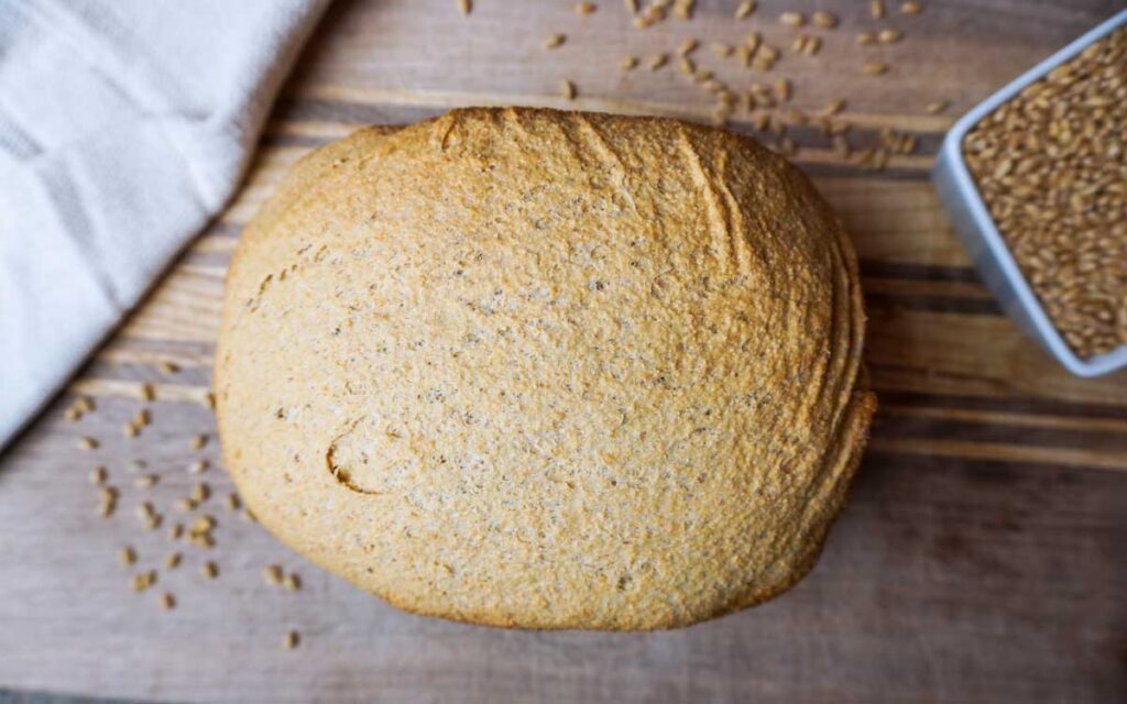 Top view of a fresh loaf of bread from a bread machine, next to wheat berries.