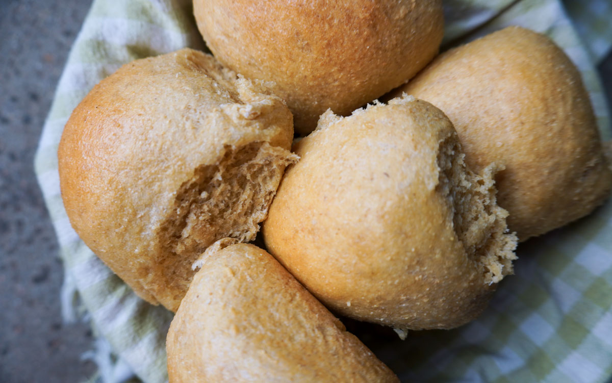 Best Sweet Dinner Rolls With Fresh Milled Flour