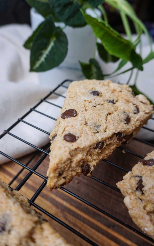 Vertical image of a fresh milled chocolate chip scone.